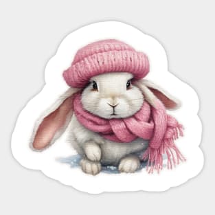 Adorable cute rabbit wearing a pink hat and scarf Sticker